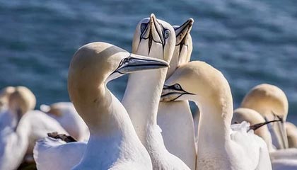 hth网页版在线登录入口：开启跨设备的高效与安全新纪元